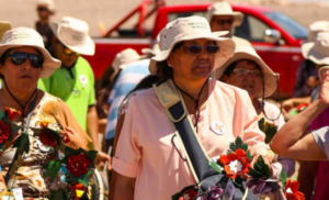 Gestión ambiental de SQM refuerza políticas de conservación de especies y biodiversidad de la zona