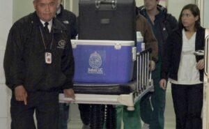 Ley de donaciones permitirá que personas vivas otorguen uno de sus riñones al sistema de salud