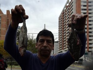 Caso correos: Comisión de Pesca solicita que Economía estudie disolución de Asociación Pesquera