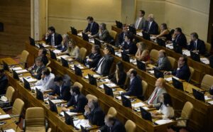 Por qué la UDI no votó a favor del proyecto que sanciona el maltrato familiar o hacia adultos mayores