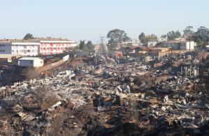 Gremio de la madera tira por la borda propuesta de Sharp de eliminar los eucaliptus en Valparaíso