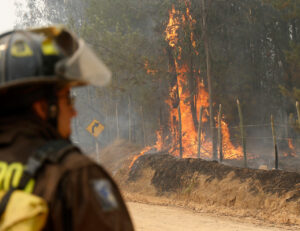 CGE ante formalización de ejecutivo por incendio: No hay fundamento para atribuir ninguna responsabilidad