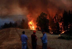 Bachelet califica incendios como “el mayor desastre forestal de nuestra historia”