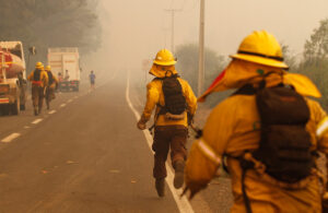 Te pillaron pos, compadre: Conaf se aburre de las noticias falsas y funa a usuario en Twitter