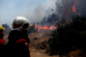 Reportan detención de dos universitarios que habrían iniciado el incendio forestal en Bulnes