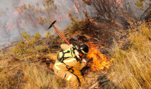 Último recuento de la Onemi: incendios activos bajan a 32 y hectáreas afectadas aumentan a 136 mil 379