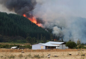 Necesitan tu ayuda: 200 voluntarios de TECHO inician trabajos de construcción de viviendas