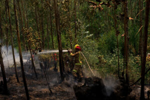 Integrantes de cuadrilla de CGE fueron detenidos tras ser acusados de reactivar incendio en Navidad