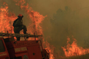 Dirección del Trabajo: Bomberos que combaten incendios forestales no pueden ser despedidos