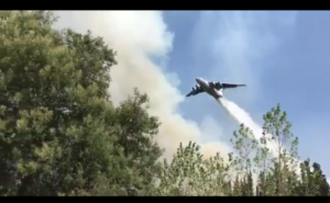 VIDEO | Este es el primer registro de 