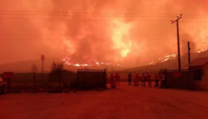 Incendio de Pumanque demorará días en extinguirse: van 5 casas consumidas y 15 mil hectáreas afectadas