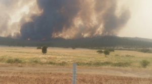 Onemi: 29 mil hectáreas afectadas en la región de O’Higgins por incendios forestales