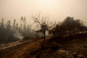 Mujer fue detenida tras ser acusada de iniciar incendios forestales