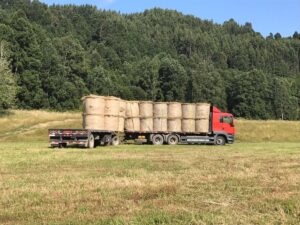 Comunidad mapuche Pillán Mapu envía toneladas de fardos de forraje para campesinos afectados por incendios