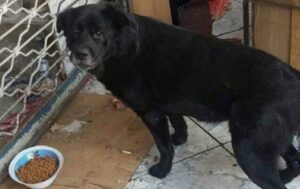 FOTO | Homenaje de Mico a 