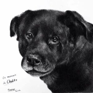 VIDEO | Registro inédito de la muerte de 