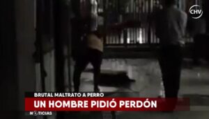 La increíble explicación de uno de los agresores de “Cholito”, el perro que mataron a palos en Patronato
