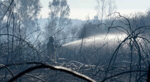 Tres brigadistas de Conaf murieron mientras combatían incendio forestal