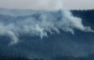 Gobierno por incendios forestales: 