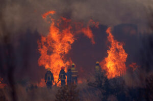 ¿A qué equivalen las 366 mil hectáreas quemadas en el incendio más grande de la historia de Chile?