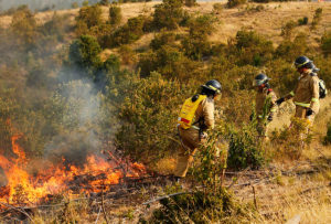 Conaf confirma la muerte de brigadista que sufrió quemaduras durante incendios forestales del verano