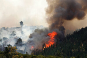 Carabineros encuentra evidencia de uso de acelerante en incendio de Cauquenes