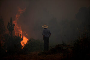 Decretan alerta roja en Valdivia por dos incendios forestales