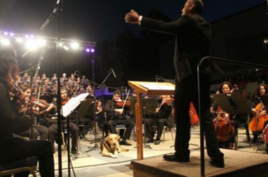 FOTOS | La vida de Sir Perro en imágenes, la mascota emblema de la U. De Concepción