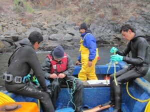 Buzos mariscadores de Talcahuano reciben nueva indumentaria para mejorar sus condiciones laborales