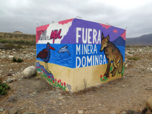 Minera Dominga: las acusaciones que rondan al proyecto y al Servicio de Evaluación Ambiental