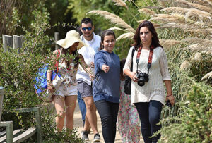 Visitas guiadas y avistamiento de aves: las actividades en el humedal La Isla en Concón