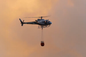 Conaf aseguró desconocer que empresas contratadas para combatir incendios integraban 