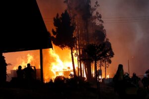 Ministerio Público indaga 520 causas por incendios forestales en enero: 216 están en la región del Maule