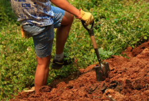 Carta abierta de la familia del brigadista acusado de provocar incendios por foto en redes sociales