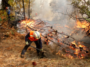 Ministerio Público formaliza a 65 personas por presunta culpabilidad en incendios