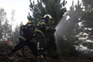 CMPC dispondrá de 20 aeronaves y más de mil colaboradores para combatir incendios forestales