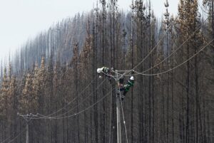 Más problemas para CGE: Fiscalía del Maule confirma detención de 7 subcontratistas por incendio en Curepto