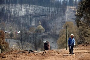 Ministerio de Hacienda: incendios forestales le han costado 333 millones de dólares al Fisco