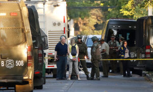 Senadores buscan instalar figura de 