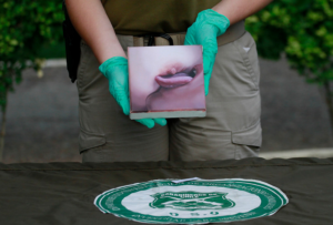 La importancia de los museos