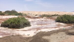 FOTOS + VIDEOS | Desborde el río Loa provoca inundaciones y daños en Calama