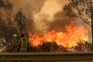 Reabren ruta Las Palmas tras control parcial de nuevo incendio en Valparaíso