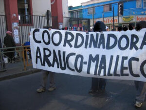 CAM se adjudica ataque contra 19 camiones quemados en la IX región