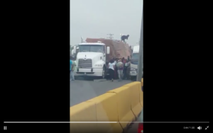 Impactante video de la actriz Catherine Fulop da cuenta de la crisis que se vive en Venezuela