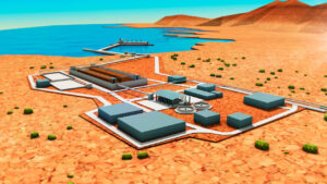 Rechazo a Dominga: poder del dinero no doblegó institucionalidad ambiental