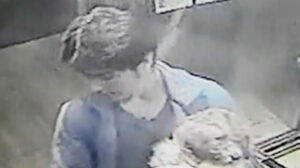 Municipalidad de Santiago presentará querella contra sujeto que acuchilló y lanzó a perrito desde edificio