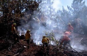 Cómo prevenir incendios forestales: especialistas apuntan a la planificación urbana