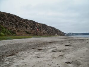 Movilh denunció abusos, discriminación y cobros irregulares en playa nudista de Horcón