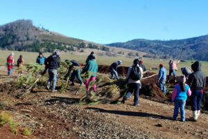 Barricadas impiden ingreso de censistas a comunidad mapuche de Temucuicui