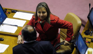 Diputados cuestionan a Marisol Turres por no despedir a asesor que robó computador a ministra